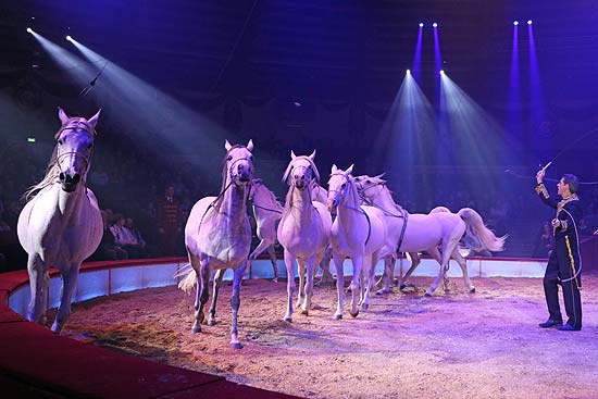 Circus Krone 3. Winterspielzeit 2020: Pferde (©Foto: Martin Schmitz)